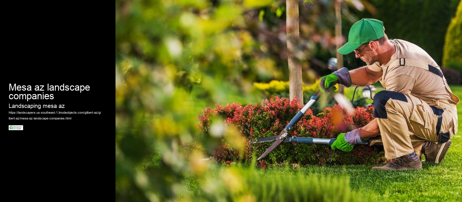 Mesa az landscape companies