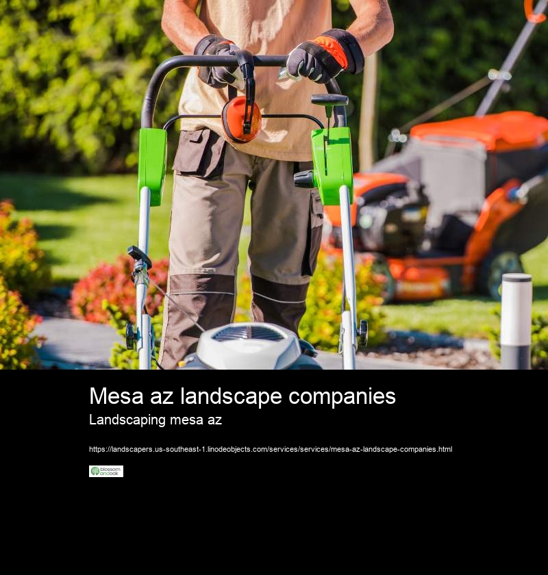 Mesa az landscape companies